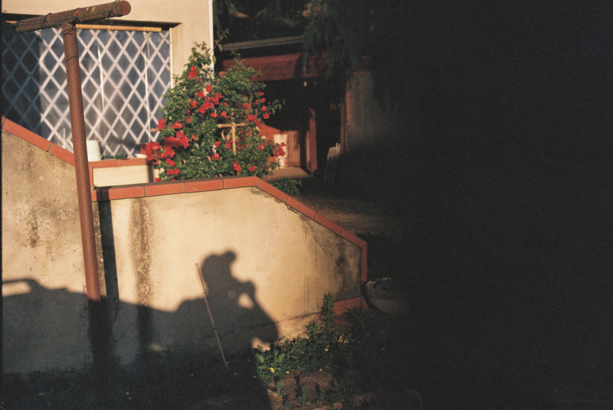 The shadow of a photographer on a sunlit wall